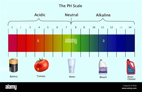 Diagram Ph Scale Examples Acidic Hi Res Stock Photography And Images