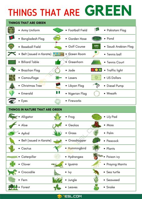 Things That Are Green List Of 160 Green Things That You Should Know