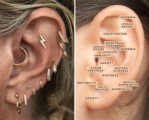 Are Your Trendy Ear Piercings Helping You On A Wellness Level Ear