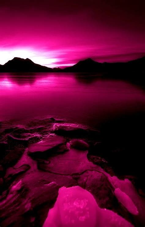 Black And Fuchsia Landscape Pink Love Bright Pink Pretty In Pink
