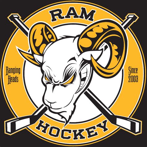 Local Big Time: 25 Hockey Logos You've Never Seen in Person