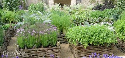 Designing your herb garden discusses design ideas for theme gardens and color selections. Herb Garden Design Ideas