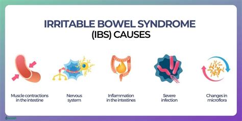 Irritable Bowel Syndrome Ibs Symptoms Causes Risk Groups Ibs Treatment And Ibs Diet Ecosh