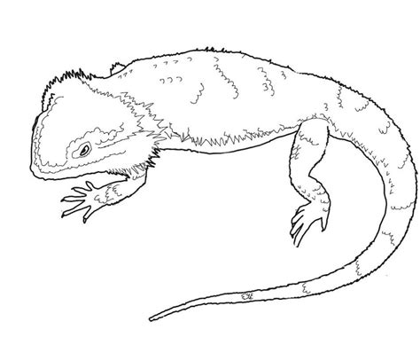 Bearded Dragon Coloring Pages - Best Coloring Pages For Kids