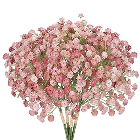 Best Pink Baby Breath Flowers For Your Garden