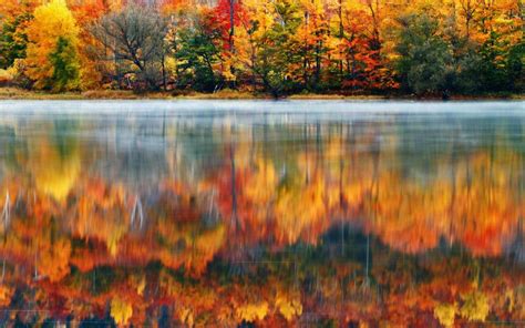 Morning Nature Usa Lake New Hampshire Reflection Autumn Fog Background