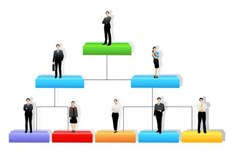 modelos de estrutura organizacional