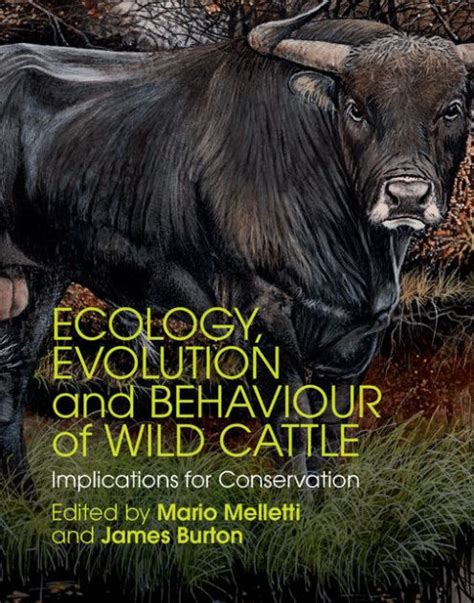 Ecology Evolution And Behaviour Of Wild Cattle Implications For Conservation By Mario Melletti