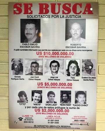 Cali Vs Medellin Cartel Timeline Important Events In The History Of