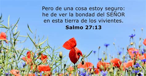 Salmos 2713 Rvr60 Versículo De La Biblia Del Día