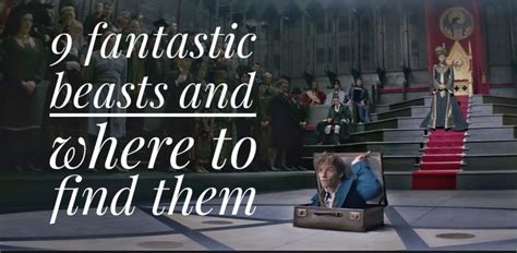 9 Magical Creatures In The Fantastic Beasts Movie