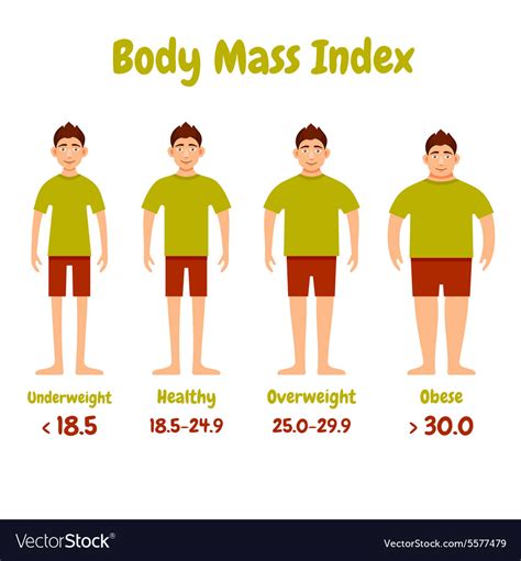 Body Mass Index Men Poster Royalty Free Vector Image