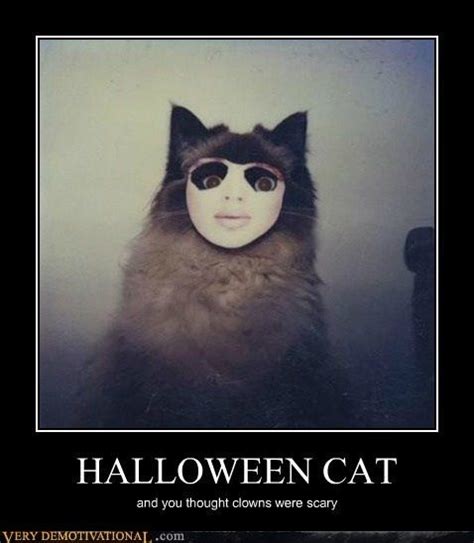 So Cute Halloween Cat Scary Cat Halloween