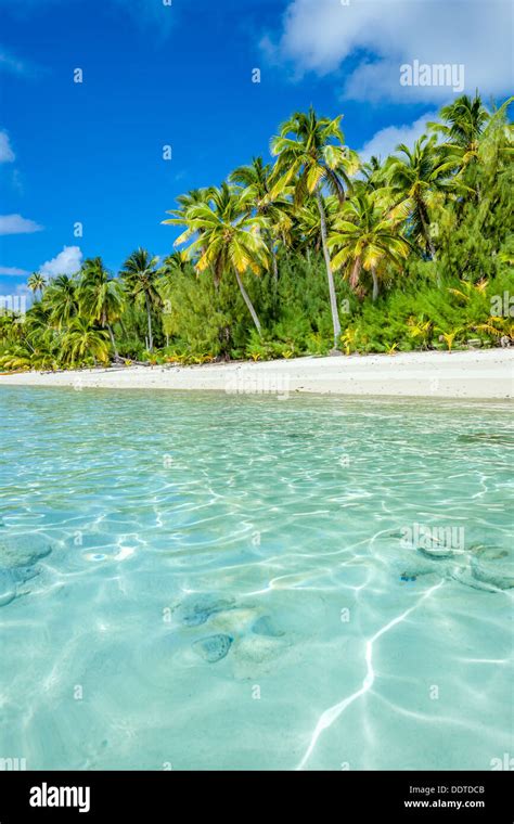 Cook Islands Aitutaki Island Tropical Sandy White Beach With