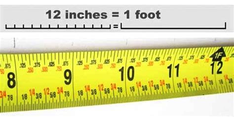 120 Inches To Feet Though Traditional Standards For The Exact Length