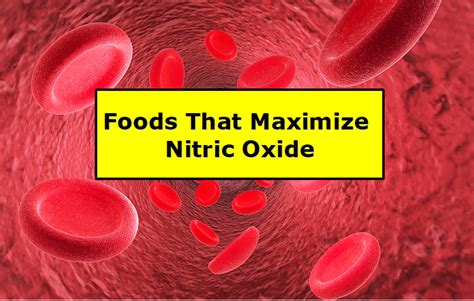 Foods That Maximize Nitric Oxide Dan Hammer Health Ltd