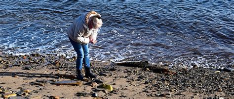 Beach Combing Tips Beach Activities From Visit Whitby