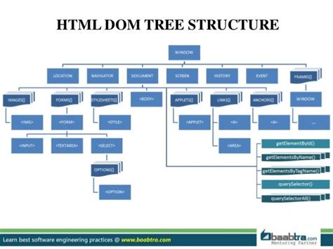 Dom Structure