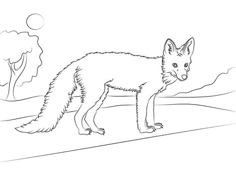 Free Printable Red Fox Coloring Page Download Print Or Color Online