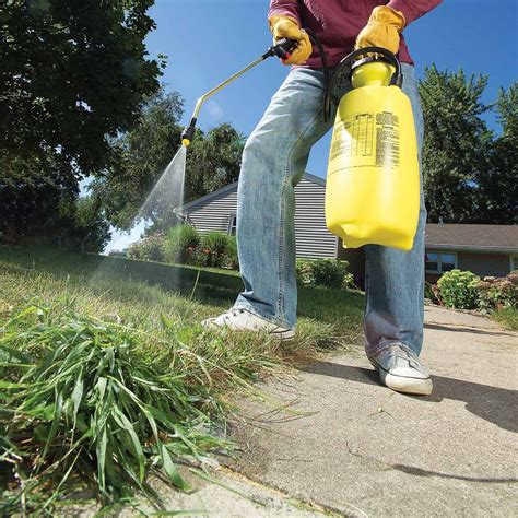How To Get Rid Of Crabgrass A Step By Step Guide Readers Digest