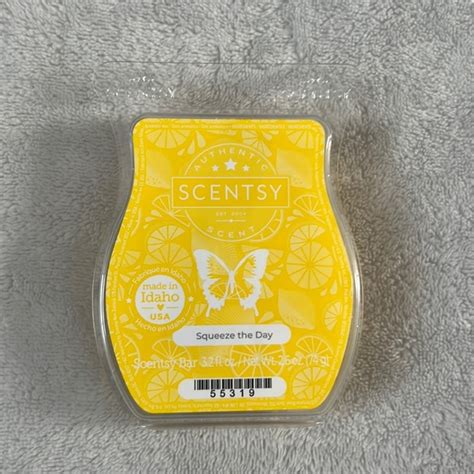 Scentsy Accents Scentsy Squeeze The Day Wax Cubes Home Fragrances