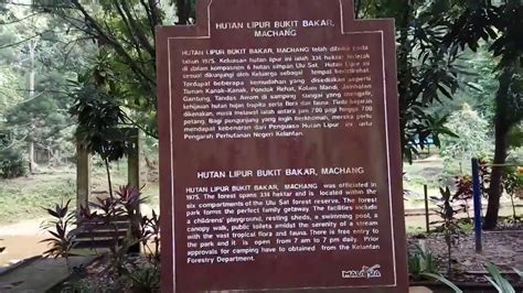 Free wifi hotels, tv & cable, breakfast, pool Bawa anak mandi manda di Bukit Bakar Machang Kelantan ...
