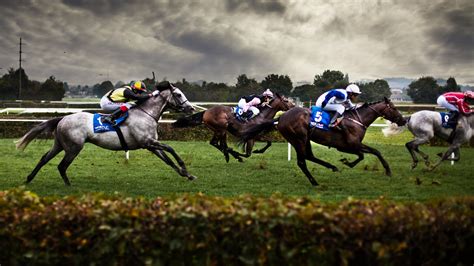 Horse Racing Wallpapers Pictures Images