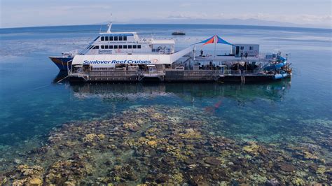 Pontoon Great Barrier Reef Cairns Great Barrier Reef Tour Explore