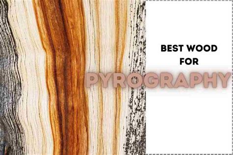 15 Choices For The Best Wood For Pyrography Hobbydisiac