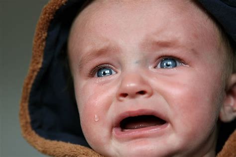 Bebé Llorando Bebé Lágrimas Niño Pequeño Triste Llorar Gritar