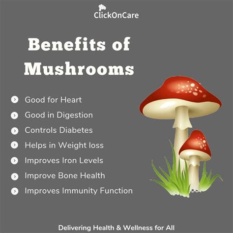 Mushroom Benefits Mushroom Benefits Healthy Facts Health Food
