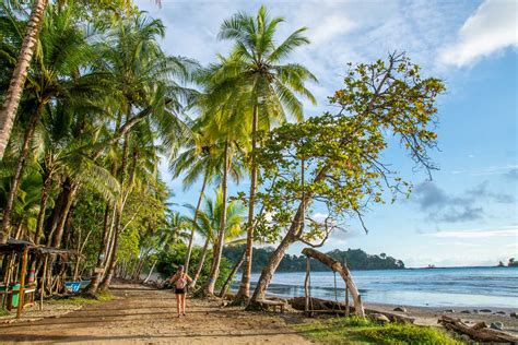 21 Best Things To Do In Dominical Costa Rica And Guide To Visiting