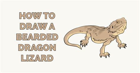 Drawing A Bearded Dragon Step By Step Warehouse Of Ideas