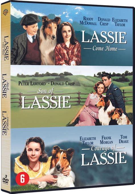 Lassie 1 3 Dvd Dvd Nico Marischka Dvds