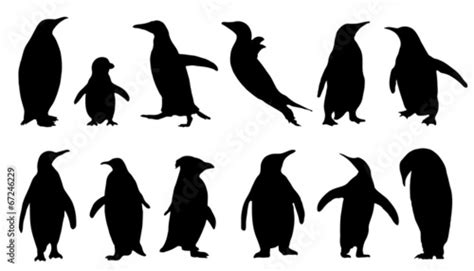 Penguin Silhouettes Stock Vector Adobe Stock