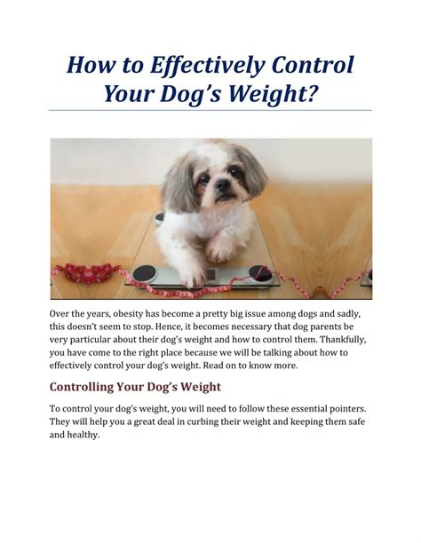 Ppt How To Effectively Control Your Dogs Weight Powerpoint