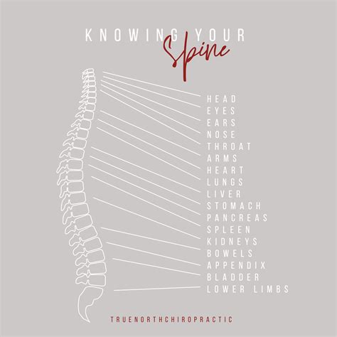 Knowing Your Spine Chiropractic Wellness Chiropractic Quotes