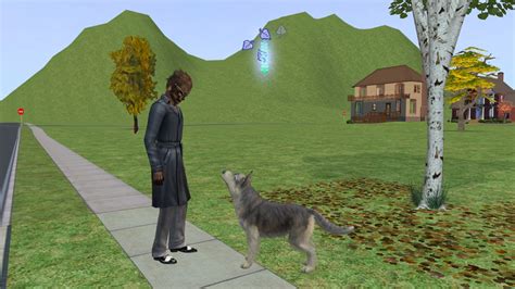 Sims 2 Werewolf Guide Living With Lycanthropy