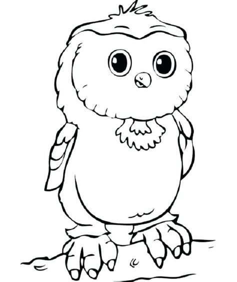 You can use our amazing online tool to color and edit the following snowy owl coloring pages. Snowy Owl Coloring Page at GetColorings.com | Free ...