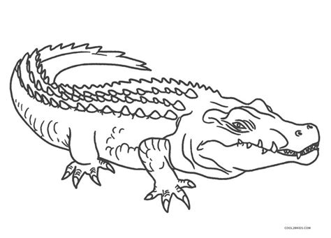 Crocodiles coloring pages for kids online. Alligator Coloring Pages | Cool2bKids