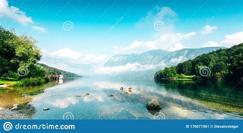 Lake Bohinj In Slovenia Beautiful Scenic Summer Landscape Stock Image