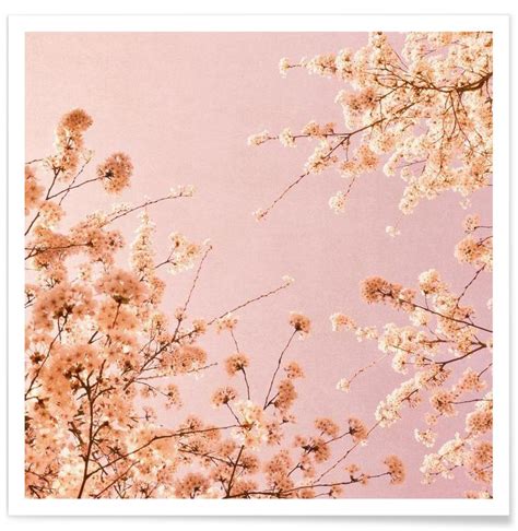 Spring Delight Pink Poster Juniqe