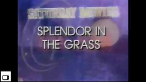 Splendor In The Grass 1981 Remake Movie Preview YouTube