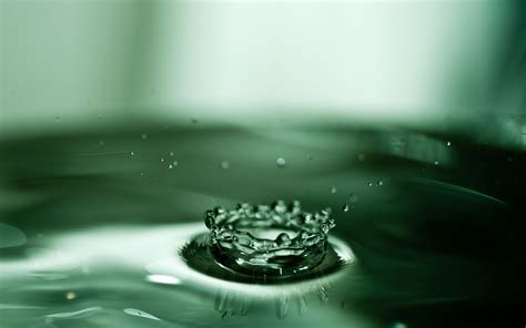 3840x2160 Resolution Shallow Focus Photography Of Water Drop Hd Wallpaper Wallpaper Flare