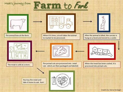 Farm To Fork Farm Beef Farming Goods And Services