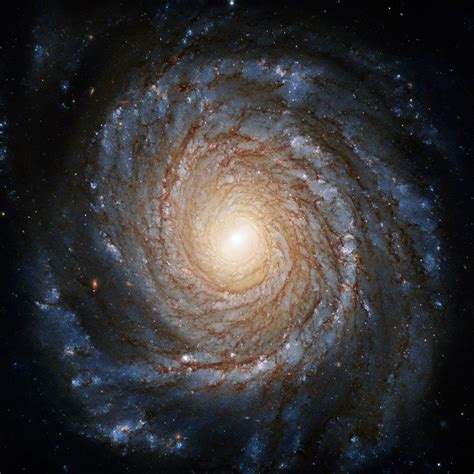 The spiral galaxy ngc 2608 gets photobombed by two stars inside our milky way. Hubble Telescope Discovers Mysterious Black Hole Disc