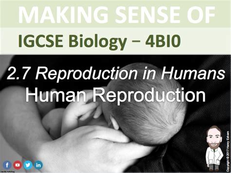 Igcse Human Reproduction Presentation
