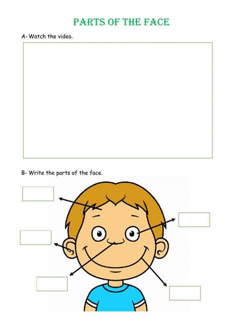 Parts Of The Face Interactive Worksheet Worksheets English As A