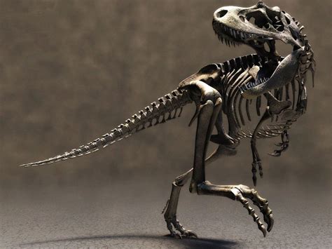 Trex Skeleton Dinosaur Wallpaper Dinosaur Skeleton Dinosaur Pictures