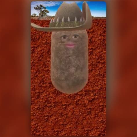 Potato Aussie Lens By Phil Walton Snapchat Lenses And Filters